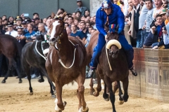 Foto Palio di Siena: Archivio Fotografico del Palio di Siena - Alessia Bruchi Fotografia, Fotoreporter di Palio e fotografo Palio di Siena