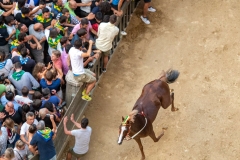 Palio di Siena 16 Agosto 2019