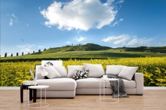 carta-da-parati-personalizzata-crete-senesi-primavera-2