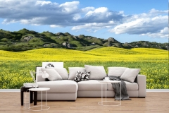 carta-da-parati-personalizzata-crete-senesi-primavera-4