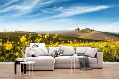 carta-da-parati-personalizzata-crete-senesi-primavera