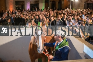 CENA-VITTORIA-SELVA-5-Ottobre-2019-130