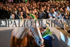 CENA-VITTORIA-SELVA-5-Ottobre-2019-131