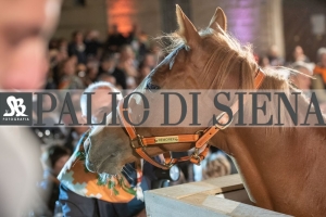 CENA-VITTORIA-SELVA-5-Ottobre-2019-133