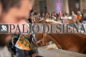 CENA-VITTORIA-SELVA-5-Ottobre-2019-134