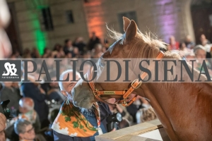 CENA-VITTORIA-SELVA-5-Ottobre-2019-135