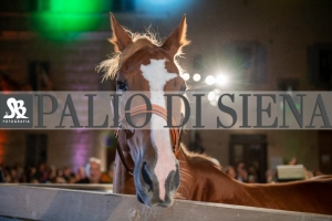 CENA-VITTORIA-SELVA-5-Ottobre-2019-136