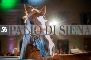 CENA-VITTORIA-SELVA-5-Ottobre-2019-137