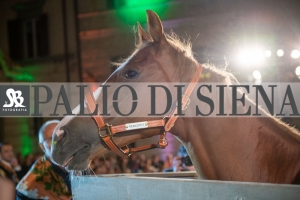 CENA-VITTORIA-SELVA-5-Ottobre-2019-138