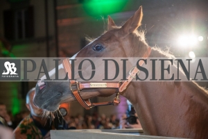 CENA-VITTORIA-SELVA-5-Ottobre-2019-139