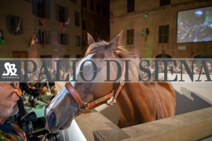 CENA-VITTORIA-SELVA-5-Ottobre-2019-140