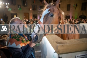 CENA-VITTORIA-SELVA-5-Ottobre-2019-141