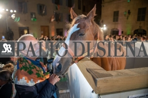 CENA-VITTORIA-SELVA-5-Ottobre-2019-142