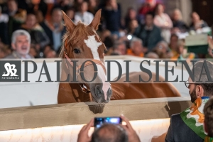CENA-VITTORIA-SELVA-5-Ottobre-2019-150