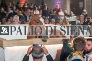 CENA-VITTORIA-SELVA-5-Ottobre-2019-151