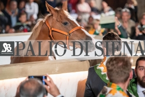 CENA-VITTORIA-SELVA-5-Ottobre-2019-152