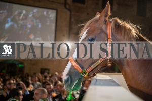 CENA-VITTORIA-SELVA-5-Ottobre-2019-160