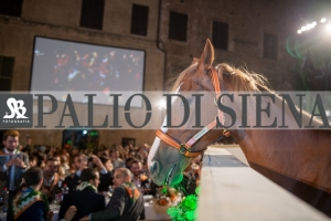 CENA-VITTORIA-SELVA-5-Ottobre-2019-161