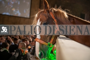 CENA-VITTORIA-SELVA-5-Ottobre-2019-162