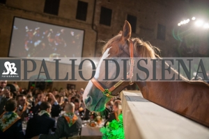 CENA-VITTORIA-SELVA-5-Ottobre-2019-163