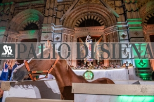 CENA-VITTORIA-SELVA-5-Ottobre-2019-176