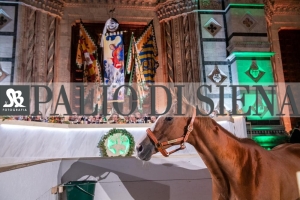 CENA-VITTORIA-SELVA-5-Ottobre-2019-177