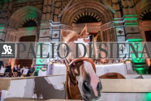 CENA-VITTORIA-SELVA-5-Ottobre-2019-178