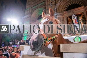 CENA-VITTORIA-SELVA-5-Ottobre-2019-179