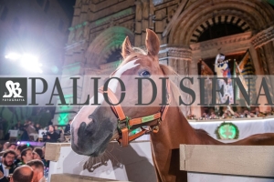 CENA-VITTORIA-SELVA-5-Ottobre-2019-180