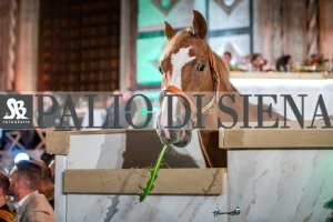 CENA-VITTORIA-SELVA-5-Ottobre-2019-181
