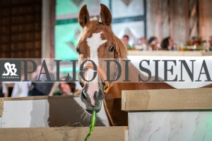 CENA-VITTORIA-SELVA-5-Ottobre-2019-182