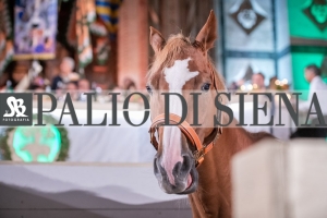 CENA-VITTORIA-SELVA-5-Ottobre-2019-184