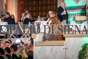 CENA-VITTORIA-SELVA-5-Ottobre-2019-185
