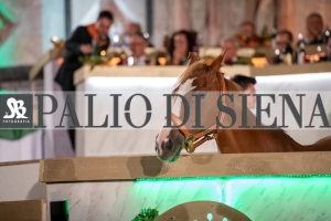 CENA-VITTORIA-SELVA-5-Ottobre-2019-190