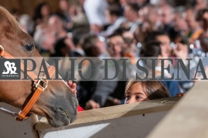 CENA-VITTORIA-SELVA-5-Ottobre-2019-249