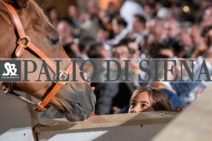 CENA-VITTORIA-SELVA-5-Ottobre-2019-250