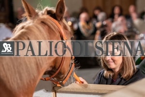 CENA-VITTORIA-SELVA-5-Ottobre-2019-254