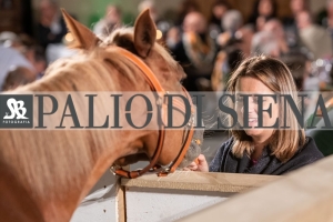 CENA-VITTORIA-SELVA-5-Ottobre-2019-256