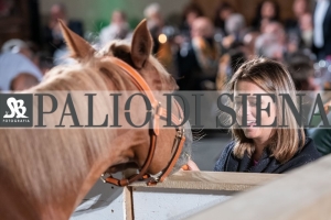 CENA-VITTORIA-SELVA-5-Ottobre-2019-258