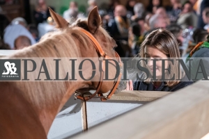 CENA-VITTORIA-SELVA-5-Ottobre-2019-262