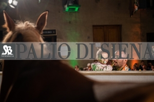 CENA-VITTORIA-SELVA-5-Ottobre-2019-279