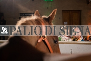 CENA-VITTORIA-SELVA-5-Ottobre-2019-282
