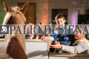 CENA-VITTORIA-SELVA-5-Ottobre-2019-287