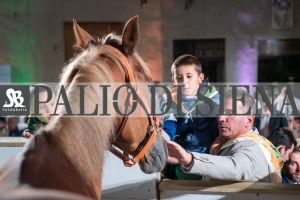 CENA-VITTORIA-SELVA-5-Ottobre-2019-288