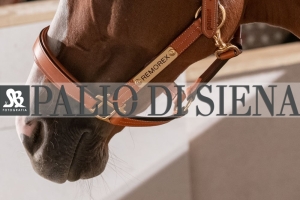 CENA-VITTORIA-SELVA-5-Ottobre-2019-293