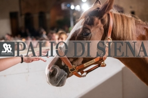 CENA-VITTORIA-SELVA-5-Ottobre-2019-297
