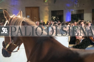 CENA-VITTORIA-SELVA-5-Ottobre-2019-336