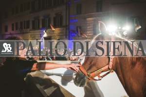 CENA-VITTORIA-SELVA-5-Ottobre-2019-337