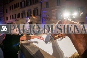 CENA-VITTORIA-SELVA-5-Ottobre-2019-338