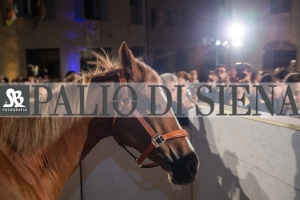 CENA-VITTORIA-SELVA-5-Ottobre-2019-339